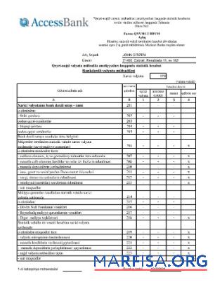 Blank Azerbaijan Access bank (azerbaijani) statement excel sample